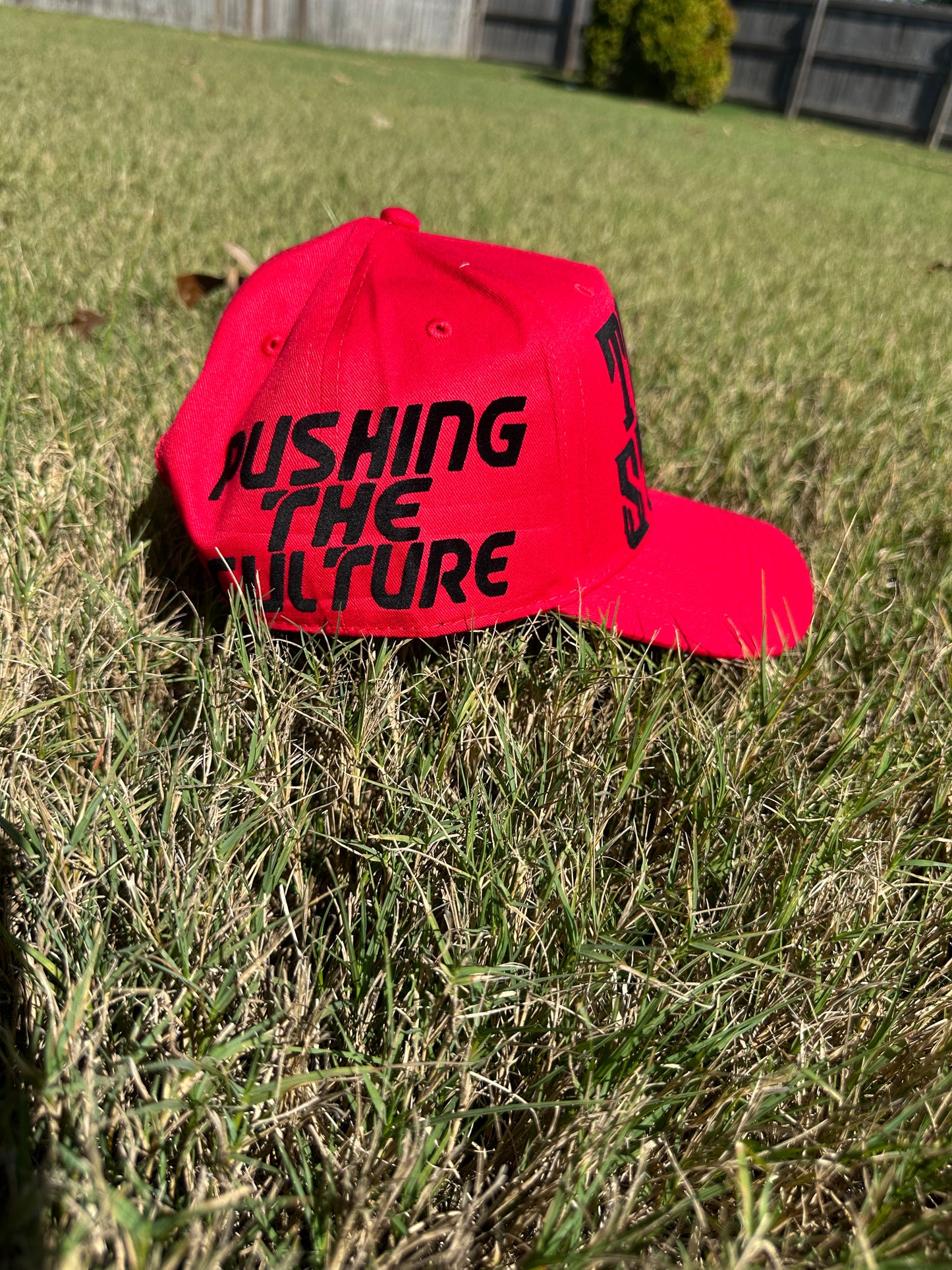 TS Logo Hat - Red