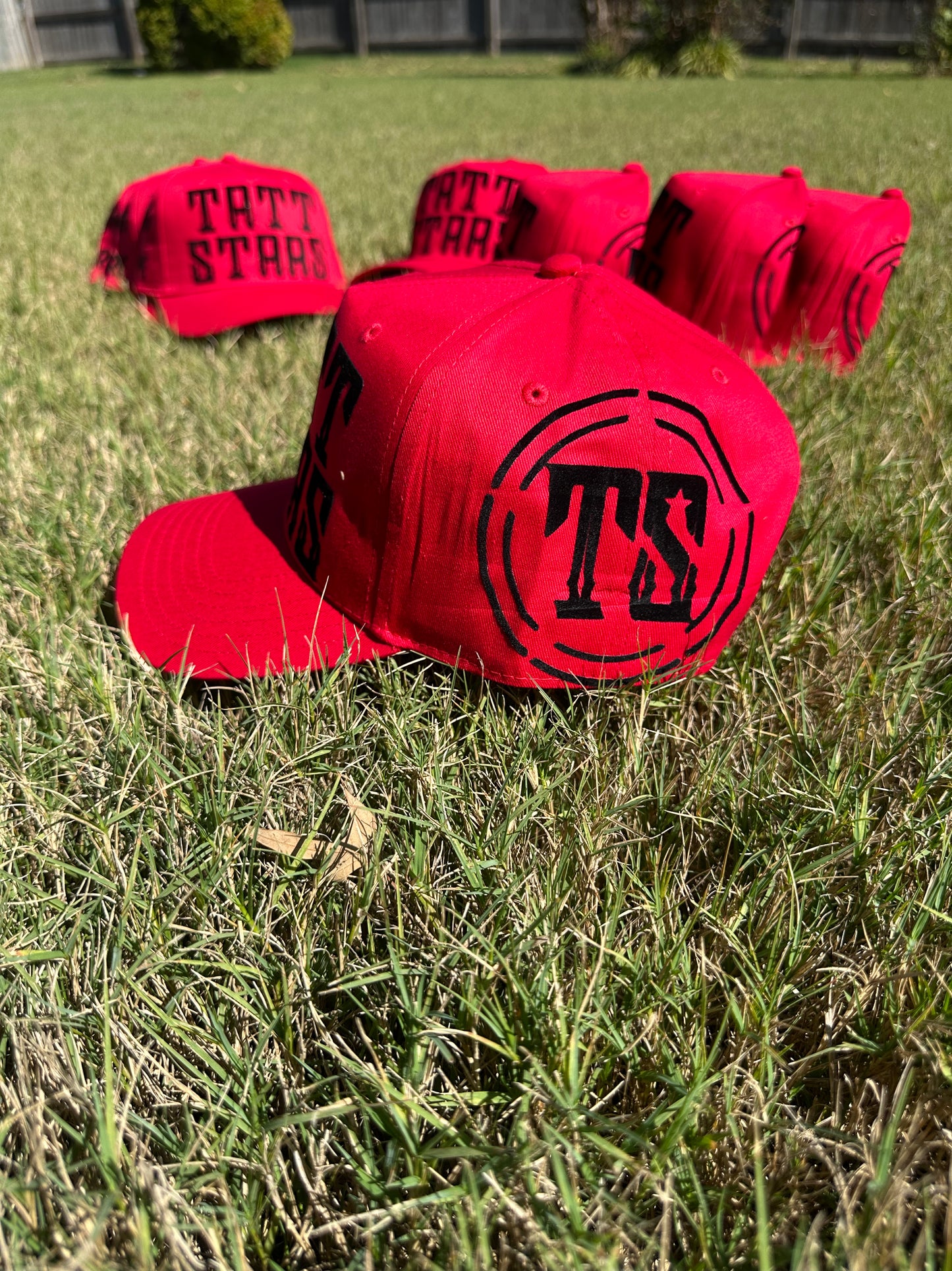 TS Logo Hat - Red